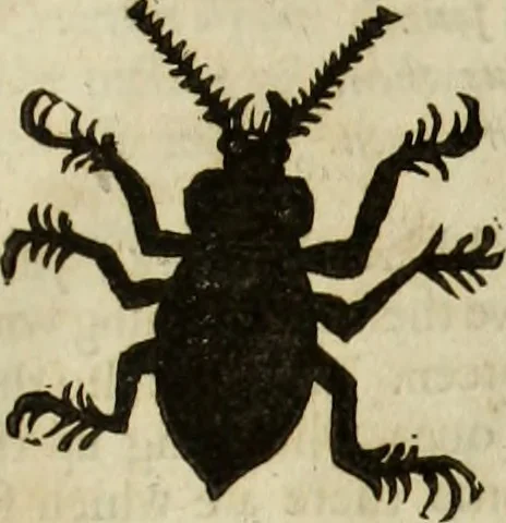 An illustration from The history of four-footed beasts and serpents., 1658, leaf 976