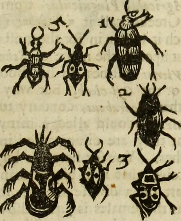 An illustration from The history of four-footed beasts and serpents., 1658, leaf 978