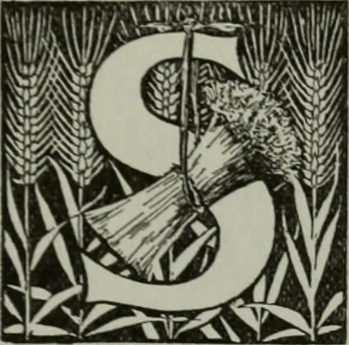 An illustration from The history of freemasonry : its legends and traditions, its chronological history, 1906, leaf 13