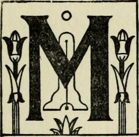 An illustration from The history of freemasonry : its legends and traditions, its chronological history, 1906, leaf 248