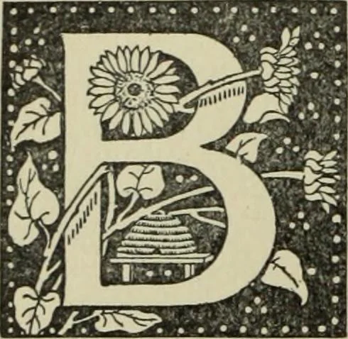 An illustration from The history of freemasonry : its legends and traditions, its chronological history, 1906, leaf 145
