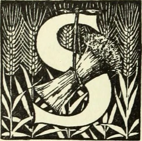 An illustration from The history of freemasonry : its legends and traditions, its chronological history, 1906, leaf 207