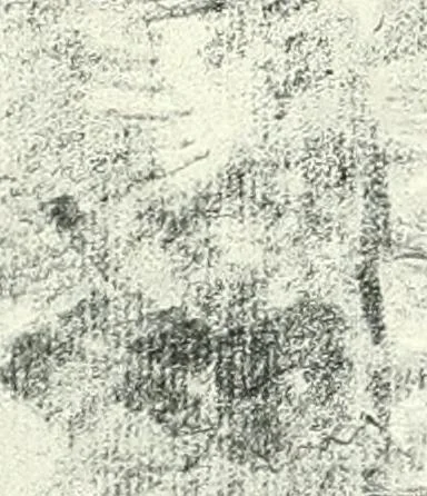 An illustration from A history of French architecture, from the reign of Charles VIII till the death of Mazarin, 1911, leaf 230