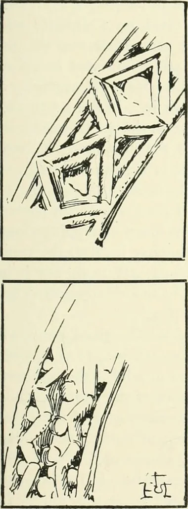 An illustration from A history of Gothic art in England, 1900, leaf 138