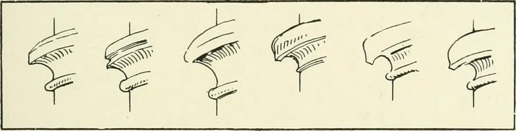 An illustration from A history of Gothic art in England, 1900, leaf 178