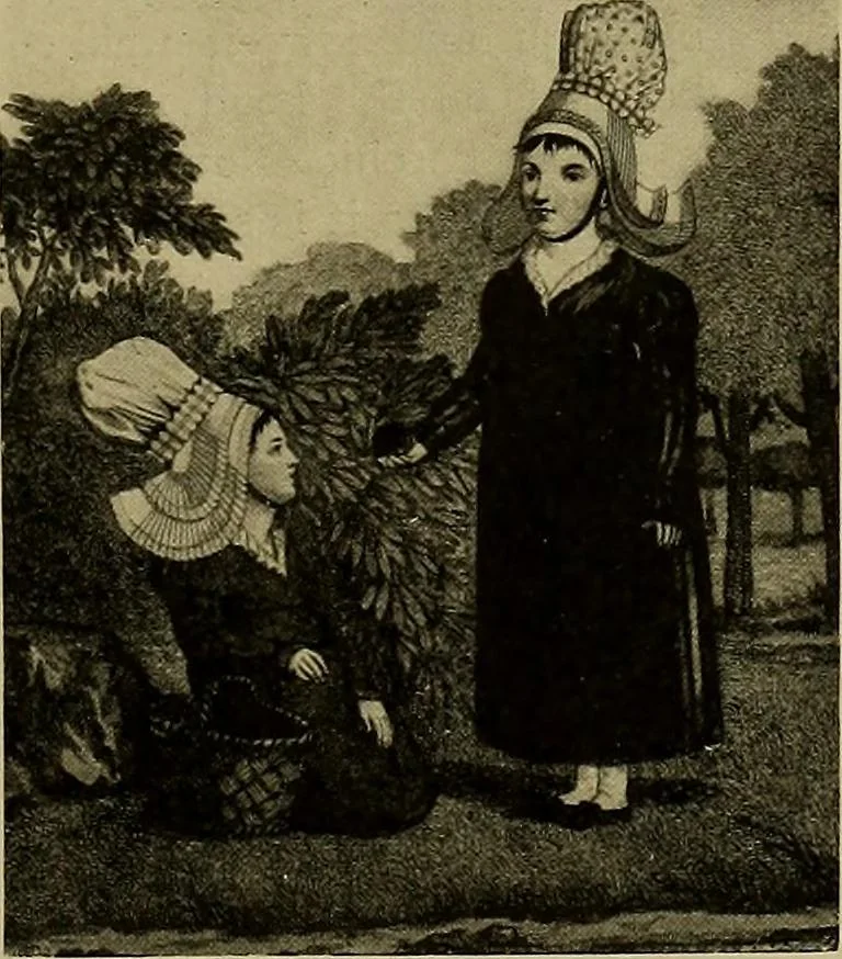 An illustration from A history of hand-made lace : Dealing with the origin of lace, the growth of the great lace centres, the mode of manufacture, the methods of distinguishing and the care of various kinds of lace ..., 1900, leaf 106