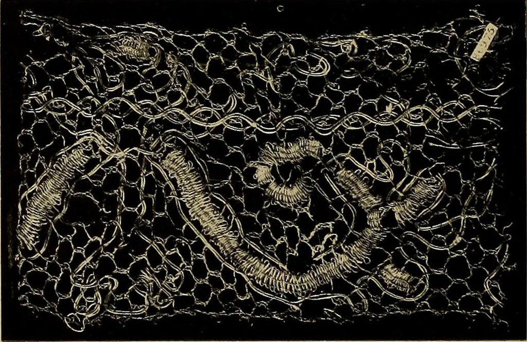 An illustration from A history of hand-made lace : Dealing with the origin of lace, the growth of the great lace centres, the mode of manufacture, the methods of distinguishing and the care of various kinds of lace ..., 1900, leaf 177