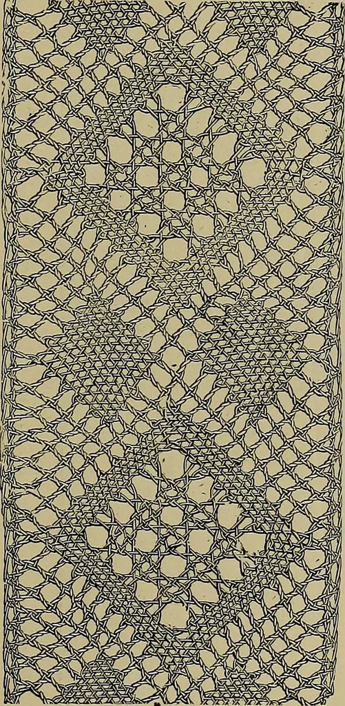 An illustration from A history of hand-made lace : Dealing with the origin of lace, the growth of the great lace centres, the mode of manufacture, the methods of distinguishing and the care of various kinds of lace ..., 1900, leaf 208