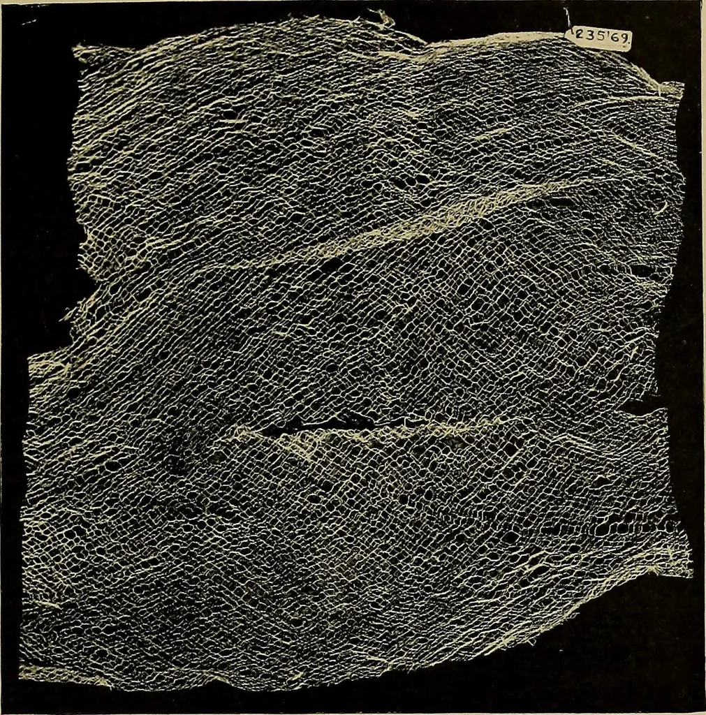 An illustration from A history of hand-made lace : Dealing with the origin of lace, the growth of the great lace centres, the mode of manufacture, the methods of distinguishing and the care of various kinds of lace ..., 1900, leaf 224