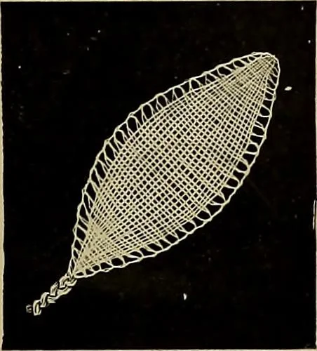 An illustration from A history of hand-made lace : Dealing with the origin of lace, the growth of the great lace centres, the mode of manufacture, the methods of distinguishing and the care of various kinds of lace ..., 1900, leaf 262