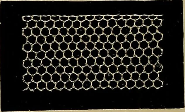 An illustration from A history of hand-made lace : Dealing with the origin of lace, the growth of the great lace centres, the mode of manufacture, the methods of distinguishing and the care of various kinds of lace ..., 1900, leaf 265