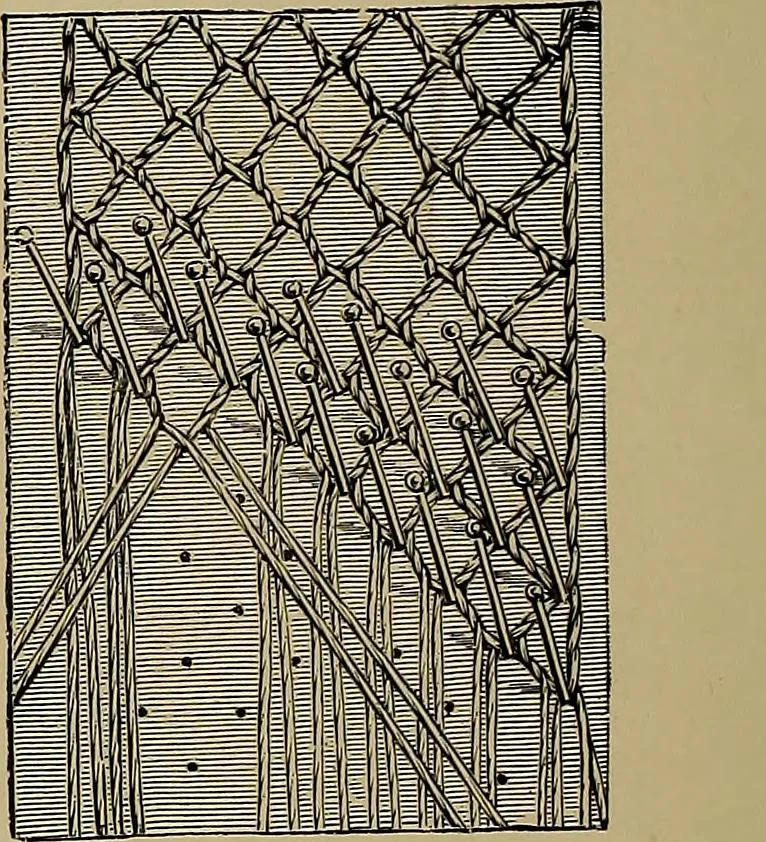 An illustration from A history of hand-made lace : Dealing with the origin of lace, the growth of the great lace centres, the mode of manufacture, the methods of distinguishing and the care of various kinds of lace ..., 1900, leaf 265