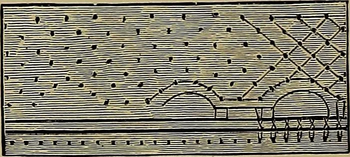 An illustration from A history of hand-made lace : Dealing with the origin of lace, the growth of the great lace centres, the mode of manufacture, the methods of distinguishing and the care of various kinds of lace ..., 1900, leaf 269