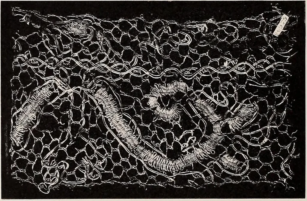 An illustration from A history of hand-made lace : dealing with the origin of lace, the growth of the great lace centres, the mode of manufacture, the methods of distinguishing and the care of various kinds of lace, 1900, leaf 177