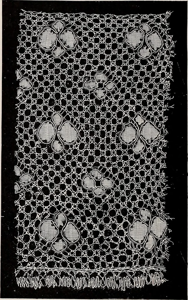 An illustration from A history of hand-made lace : dealing with the origin of lace, the growth of the great lace centres, the mode of manufacture, the methods of distinguishing and the care of various kinds of lace, 1900, leaf 193