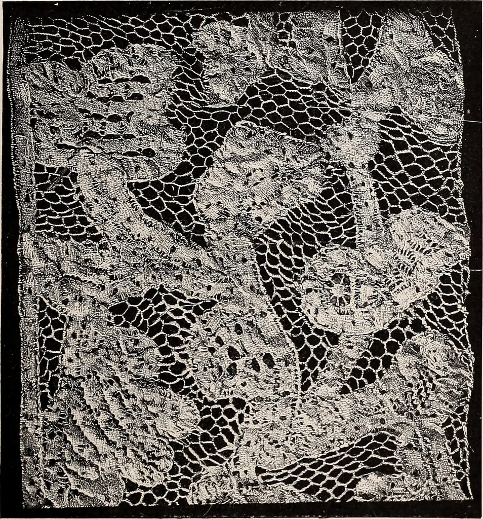 An illustration from A history of hand-made lace : dealing with the origin of lace, the growth of the great lace centres, the mode of manufacture, the methods of distinguishing and the care of various kinds of lace, 1900, leaf 198