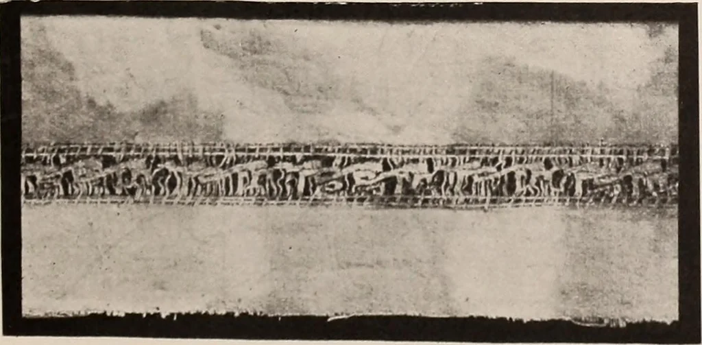 An illustration from A history of hand-made lace : dealing with the origin of lace, the growth of the great lace centres, the mode of manufacture, the methods of distinguishing and the care of various kinds of lace, 1900, leaf 22