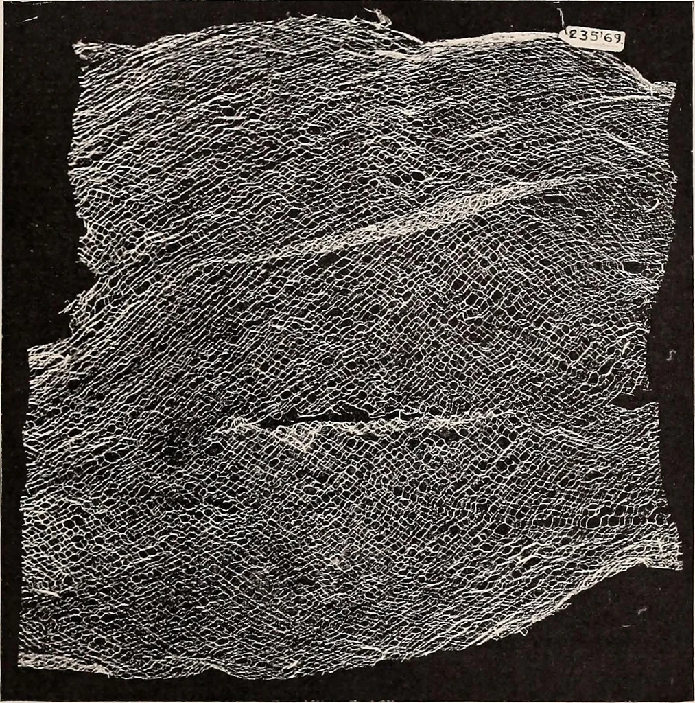 An illustration from A history of hand-made lace : dealing with the origin of lace, the growth of the great lace centres, the mode of manufacture, the methods of distinguishing and the care of various kinds of lace, 1900, leaf 224