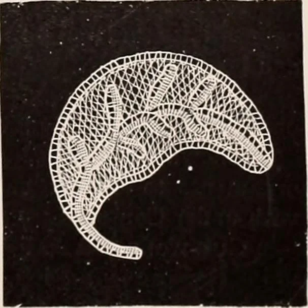 An illustration from A history of hand-made lace : dealing with the origin of lace, the growth of the great lace centres, the mode of manufacture, the methods of distinguishing and the care of various kinds of lace, 1900, leaf 260