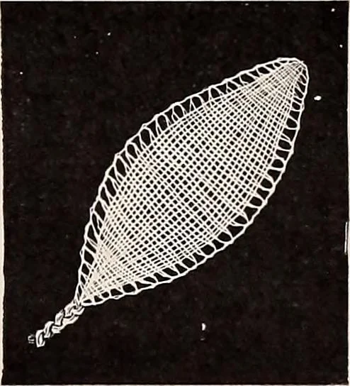 An illustration from A history of hand-made lace : dealing with the origin of lace, the growth of the great lace centres, the mode of manufacture, the methods of distinguishing and the care of various kinds of lace, 1900, leaf 262