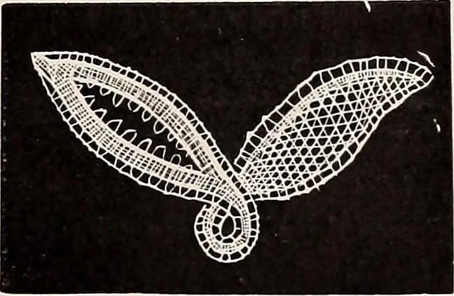 An illustration from A history of hand-made lace : dealing with the origin of lace, the growth of the great lace centres, the mode of manufacture, the methods of distinguishing and the care of various kinds of lace, 1900, leaf 262