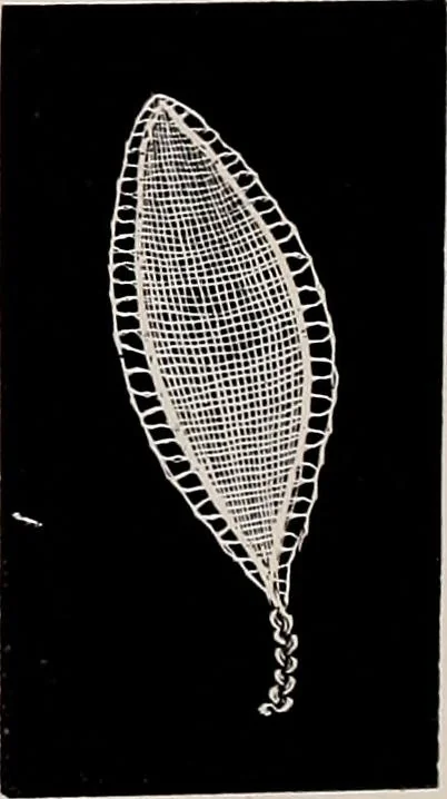 An illustration from A history of hand-made lace : dealing with the origin of lace, the growth of the great lace centres, the mode of manufacture, the methods of distinguishing and the care of various kinds of lace, 1900, leaf 263