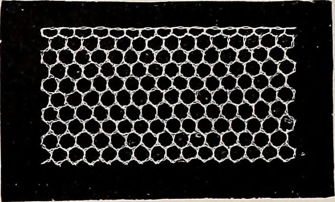 An illustration from A history of hand-made lace : dealing with the origin of lace, the growth of the great lace centres, the mode of manufacture, the methods of distinguishing and the care of various kinds of lace, 1900, leaf 265