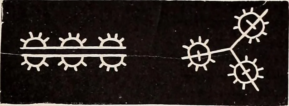 An illustration from A history of hand-made lace : dealing with the origin of lace, the growth of the great lace centres, the mode of manufacture, the methods of distinguishing and the care of various kinds of lace, 1900, leaf 266