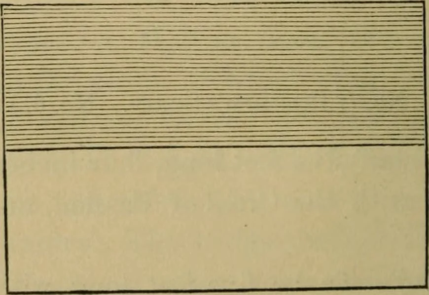 An illustration from History of the Knights Templar of the state of Pennsylvania : prepared and arranged from original papers, 1868, leaf 469