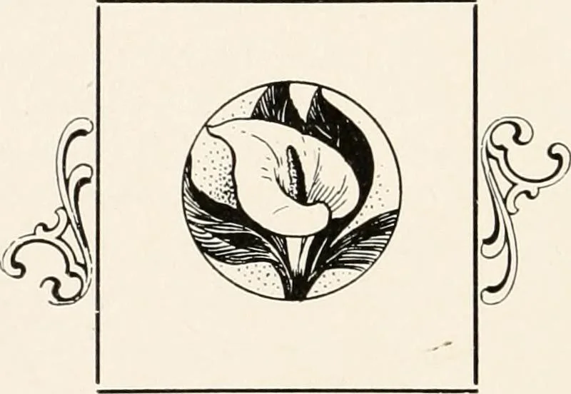 An illustration from A history of the Knights of Pythias and its branches and auxiliary; together with an account of the origin of secret societies, the rise and fall of chivalry and historical chapters on the Pythian ritual, 1910, leaf 217