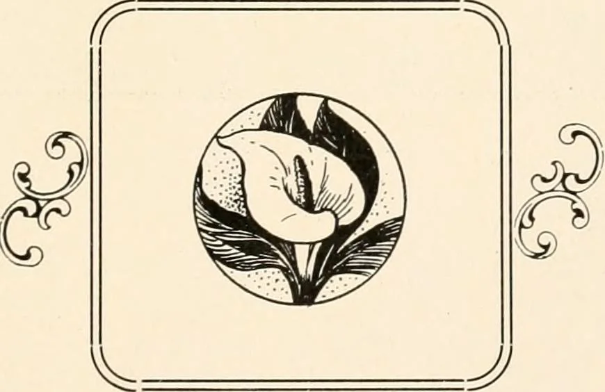 An illustration from A history of the Knights of Pythias and its branches and auxiliary; together with an account of the origin of secret societies, the rise and fall of chivalry and historical chapters on the Pythian ritual, 1910, leaf 364