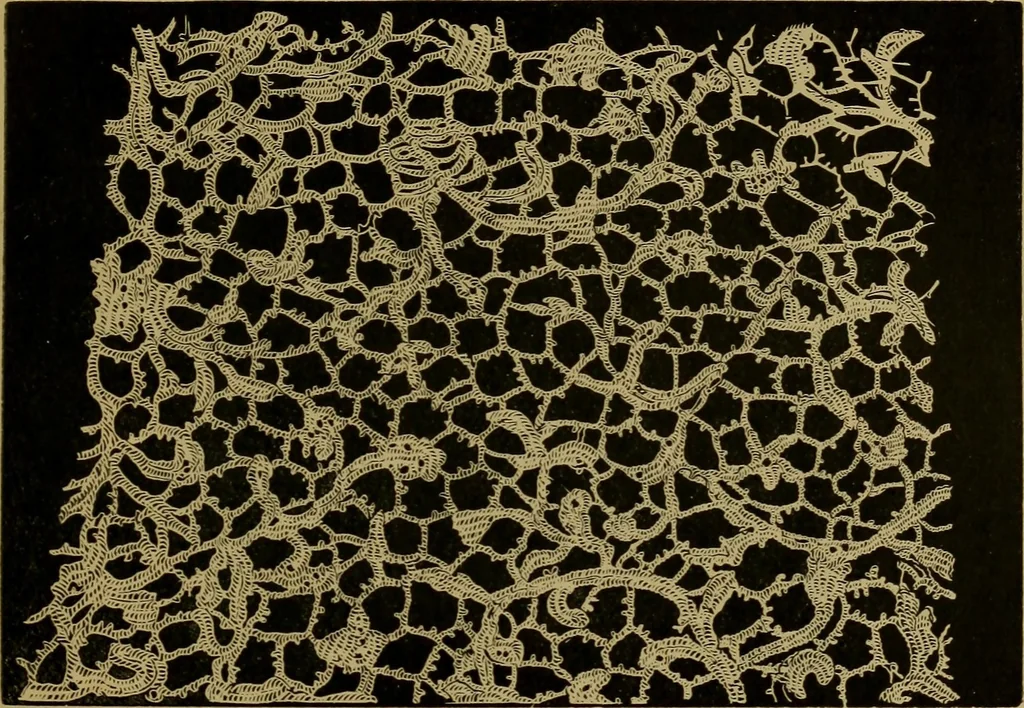 An illustration from History of lace, 1902, leaf 102