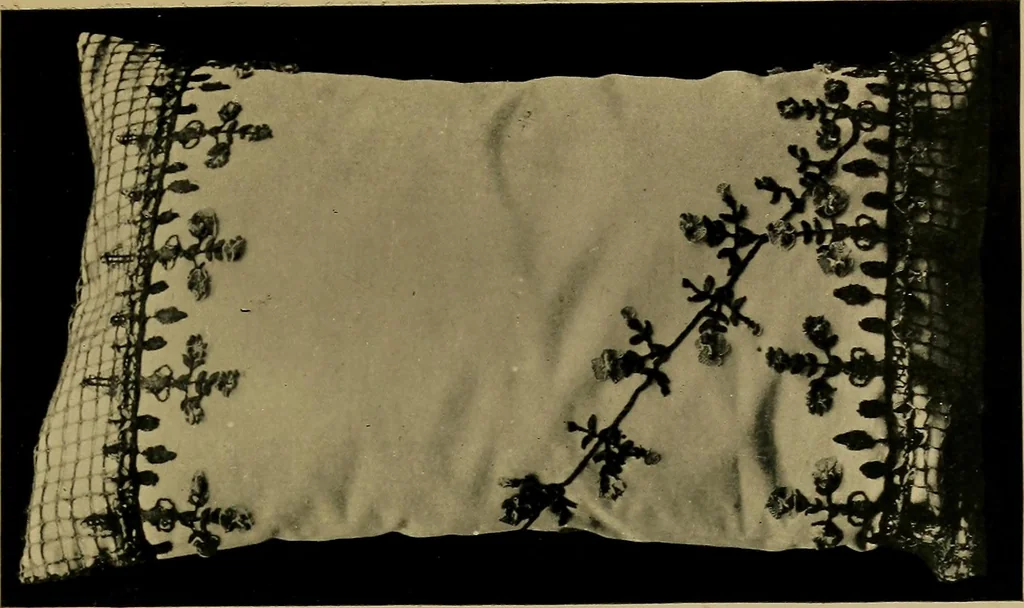 An illustration from History of lace, 1902, leaf 130