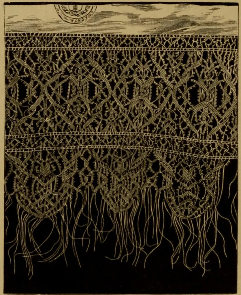 An illustration from History of lace, 1902, leaf 145