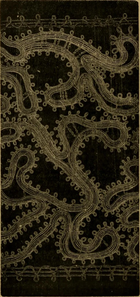 An illustration from History of lace, 1902, leaf 151