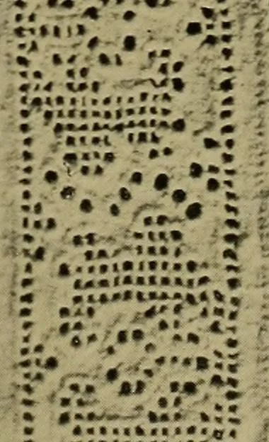An illustration from History of lace, 1902, leaf 152