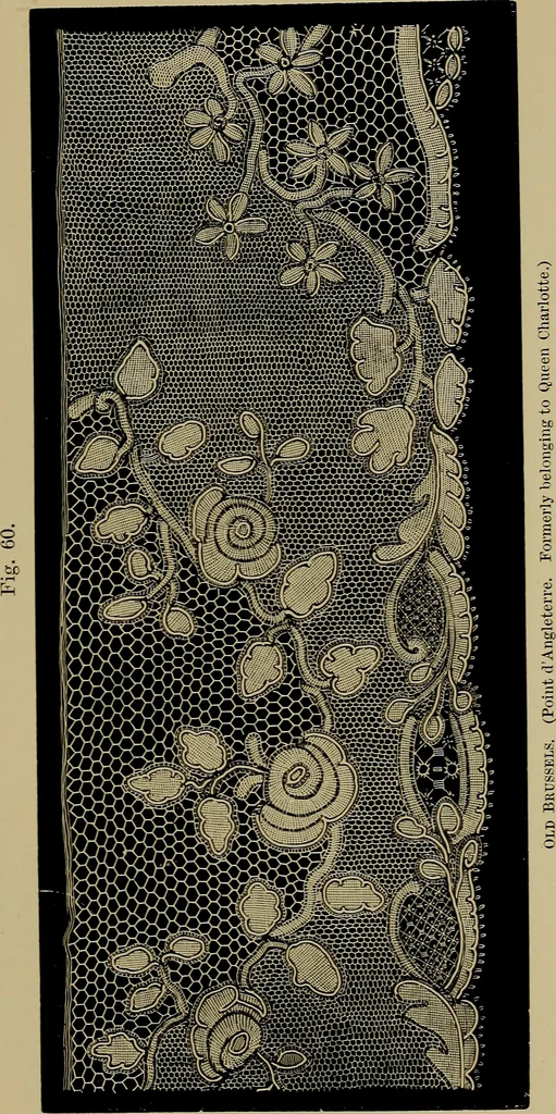 An illustration from History of lace, 1902, leaf 220