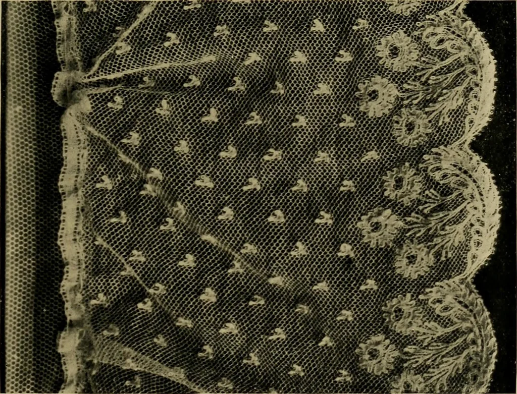 An illustration from History of lace, 1902, leaf 228