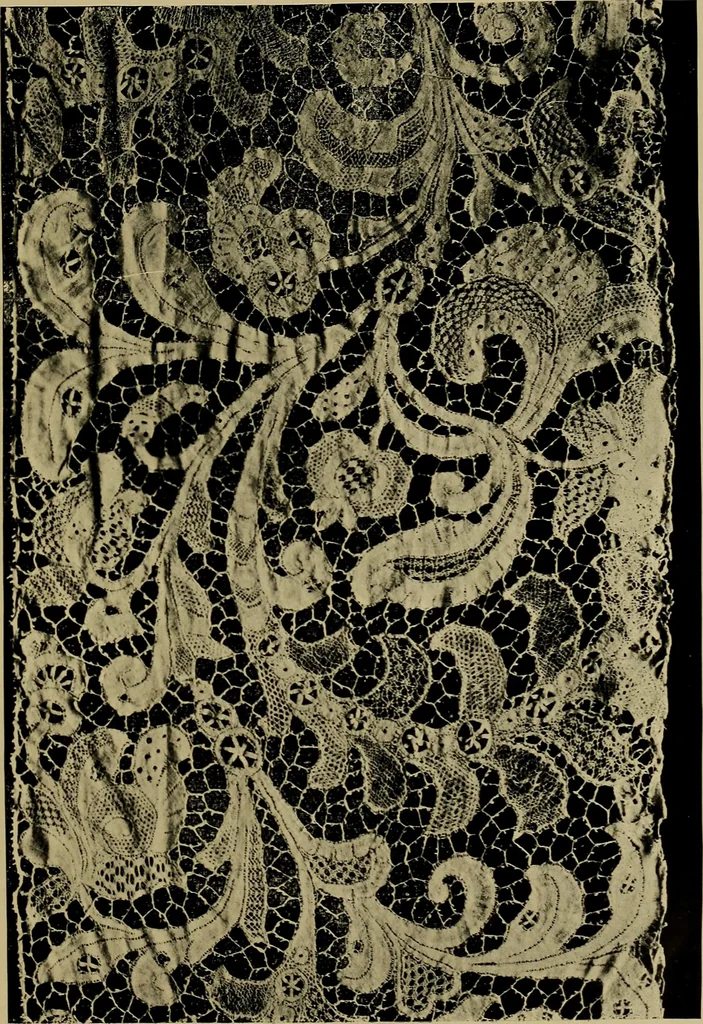 An illustration from History of lace, 1902, leaf 240