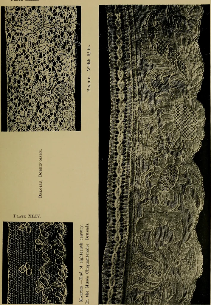 An illustration from History of lace, 1902, leaf 244