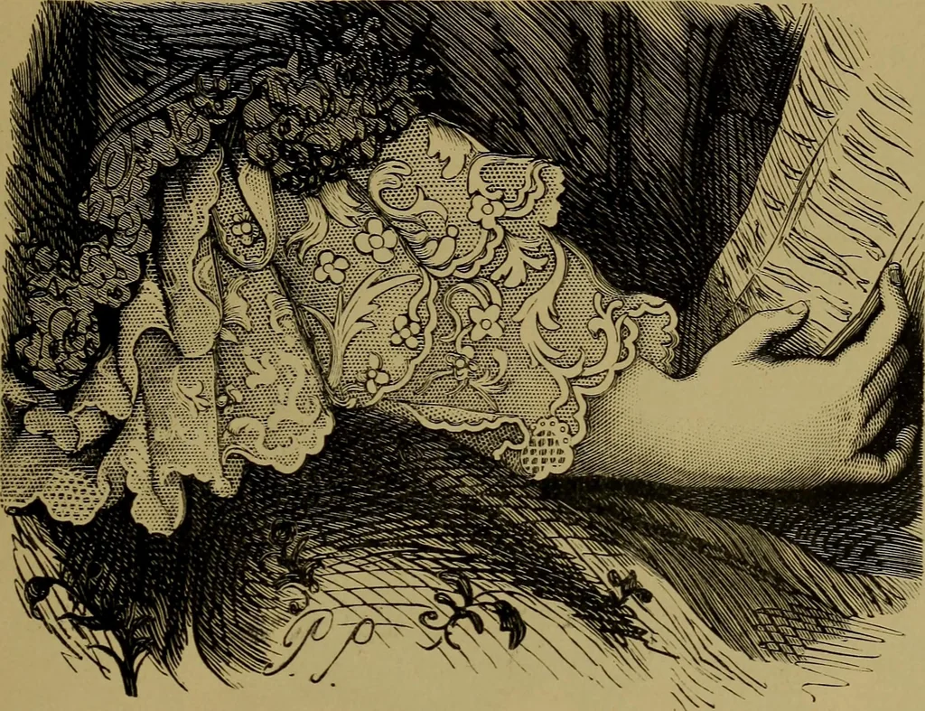 An illustration from History of lace, 1902, leaf 300