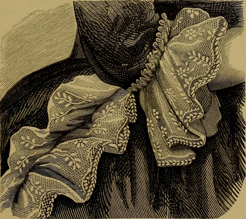 An illustration from History of lace, 1902, leaf 306