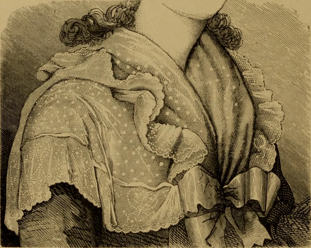 An illustration from History of lace, 1902, leaf 309