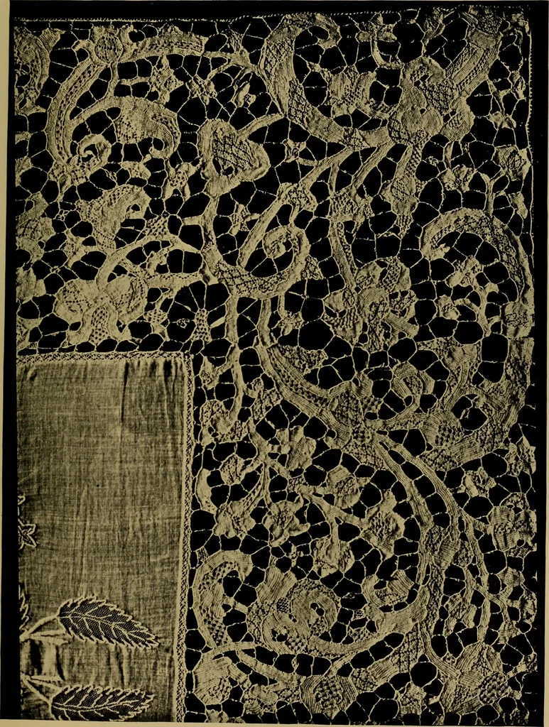 An illustration from History of lace, 1902, leaf 316