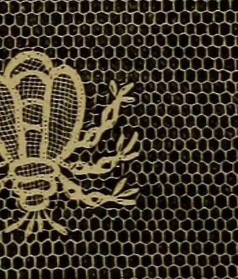 An illustration from History of lace, 1902, leaf 330