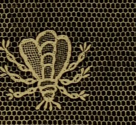 An illustration from History of lace, 1902, leaf 330