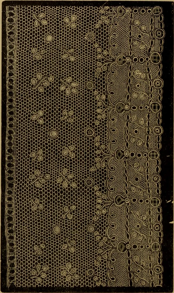 An illustration from History of lace, 1902, leaf 333