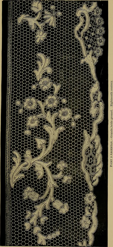 An illustration from History of lace, 1902, leaf 350