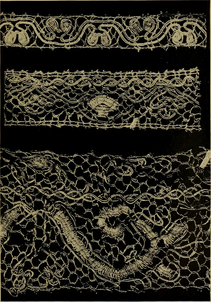 An illustration from History of lace, 1902, leaf 362