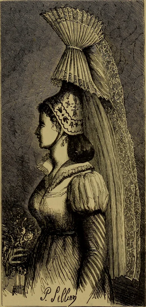 An illustration from History of lace, 1902, leaf 368